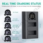 Caisi Dual Charger For Canon LP E17 Battery