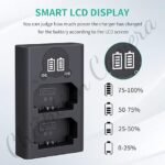 Caisi Dual Charger For Sony FZ 100 Battery