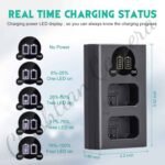 Caisi Dual Charger For Sony FW50 Battery